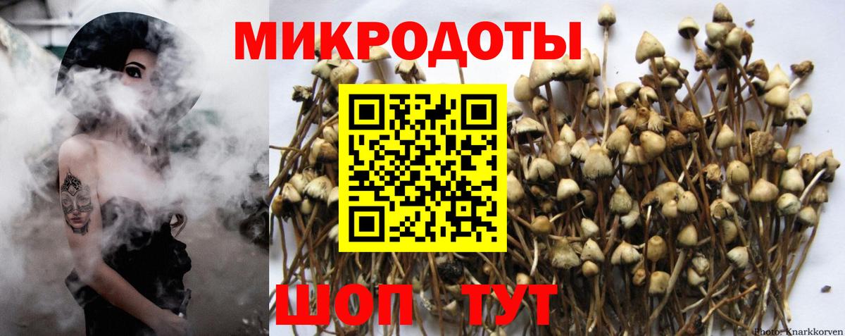 Егорьевск  Псилоцибиновые грибы Magic Shrooms  Псилоцибиновые грибы мухоморы  Вход с VPN 