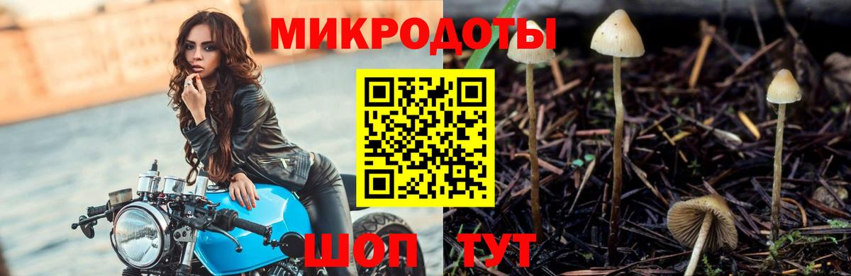 Галлюциногенные грибы мицелий Егорьевск